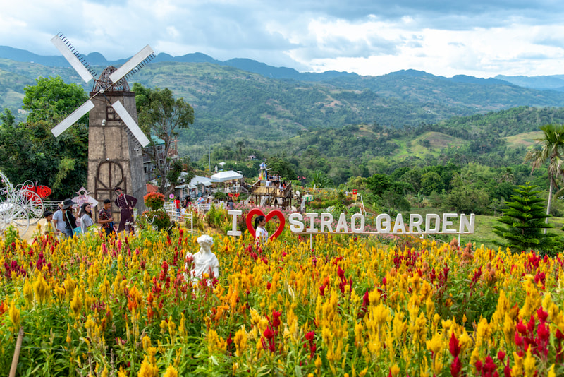 Sirao Flower Farm-Tourist Spots That are Worth Flying to Cebu For